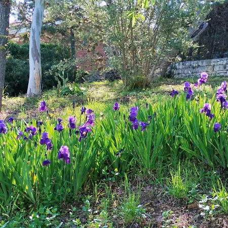 Alojamento de Acomodação e Pequeno-almoço Le Finestre Sul Mare Conversano