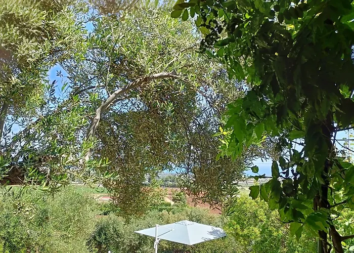 Bed & Breakfast Le Finestre Sul Mare Conversano